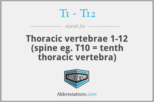 T1 - T12 - Thoracic vertebrae 1-12 (spine eg. T10 = tenth thoracic vertebra)